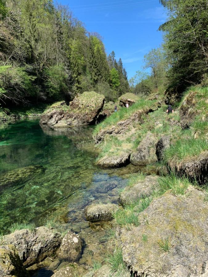 Ferienhaeuschen Am Traunsee Mit Tretboot Zur Freien Nutzung Am Badeplatz Altmünster Esterno foto