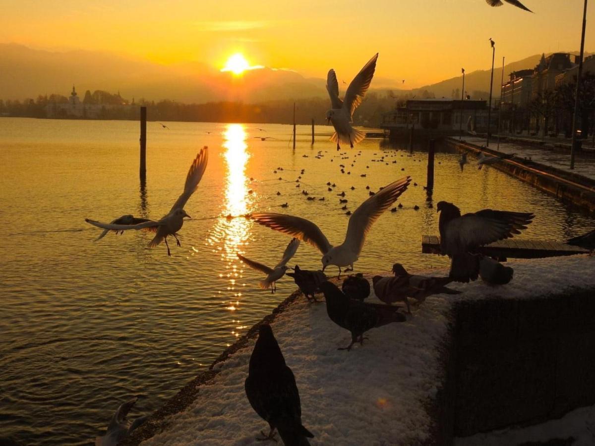 Ferienhaeuschen Am Traunsee Mit Tretboot Zur Freien Nutzung Am Badeplatz Altmünster Esterno foto